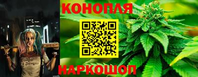 МДПВ Донской
