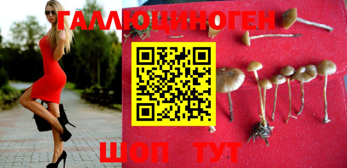 Галлюциногенные грибы мухоморы  Галлюциногенные грибы Psilocybe  Мичуринск  Вход с VPN 