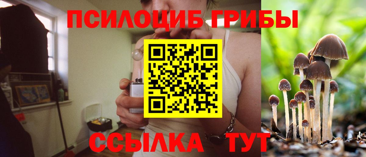Псилоцибиновые грибы GOLDEN TEACHER Мичуринск